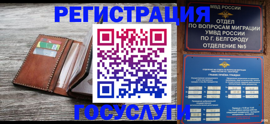 прописка 2025 в Кольчугино